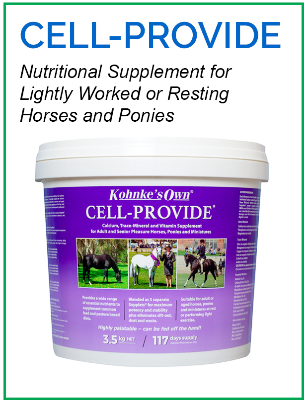 Supplement for Ponies