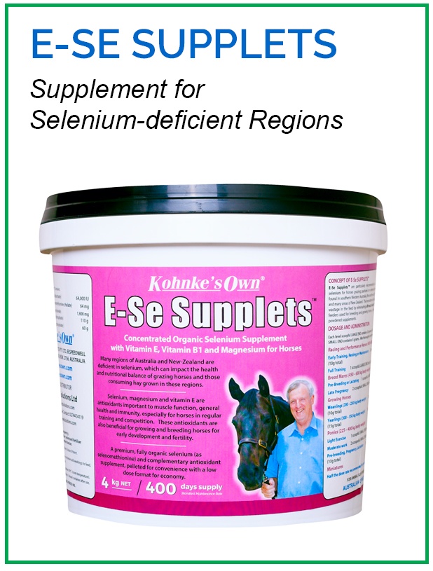 Supplement for Growing and Breeding Horses