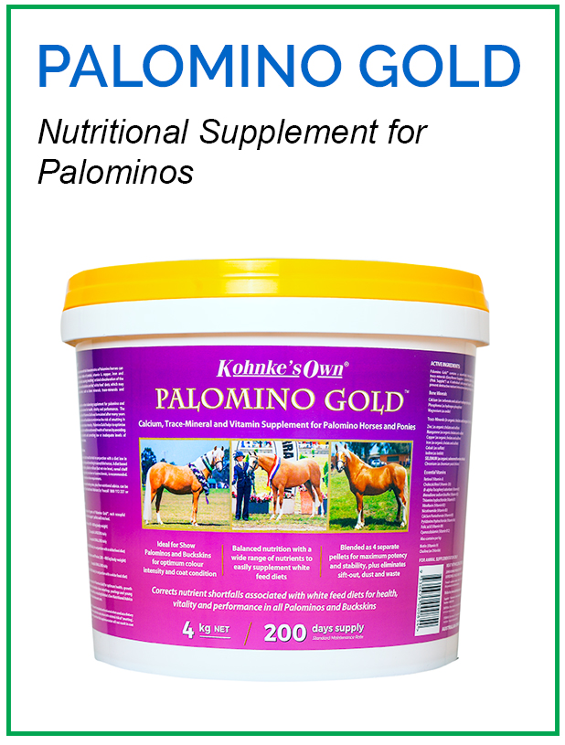 Palomino Gold