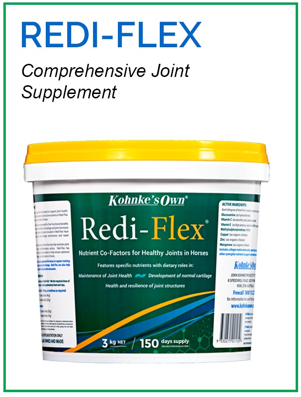 Joint and Bone Health Product